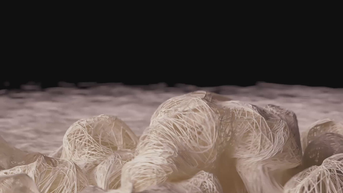 Gluten networks in dough